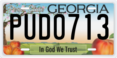 GA license plate PUD0713