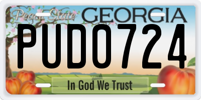 GA license plate PUD0724