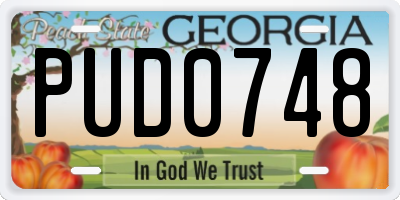 GA license plate PUD0748