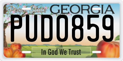 GA license plate PUD0859