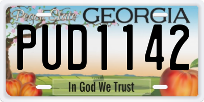 GA license plate PUD1142