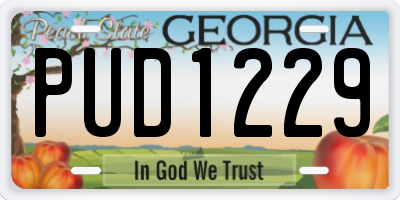 GA license plate PUD1229