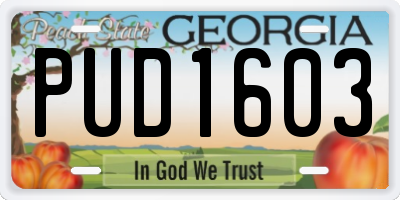 GA license plate PUD1603