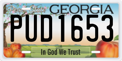 GA license plate PUD1653