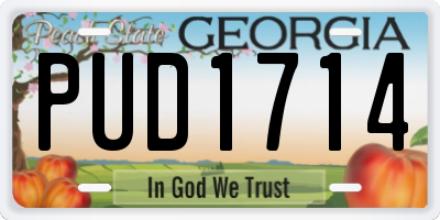 GA license plate PUD1714