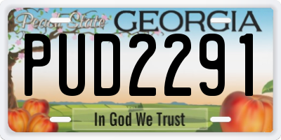 GA license plate PUD2291