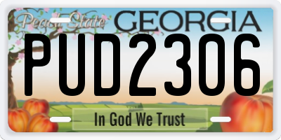 GA license plate PUD2306