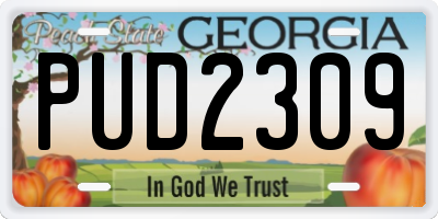 GA license plate PUD2309