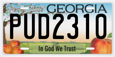 GA license plate PUD2310