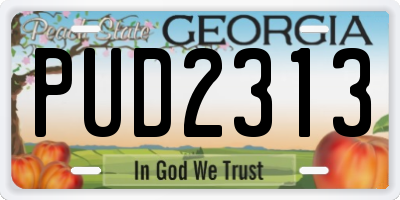 GA license plate PUD2313