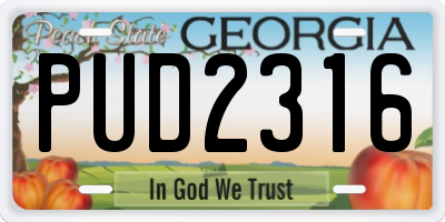 GA license plate PUD2316