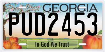 GA license plate PUD2453