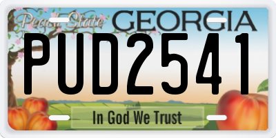 GA license plate PUD2541