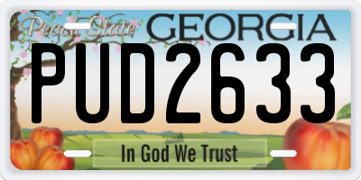 GA license plate PUD2633