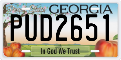 GA license plate PUD2651