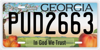 GA license plate PUD2663