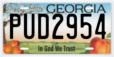 GA license plate PUD2954
