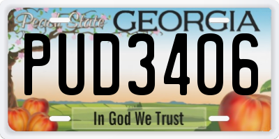 GA license plate PUD3406