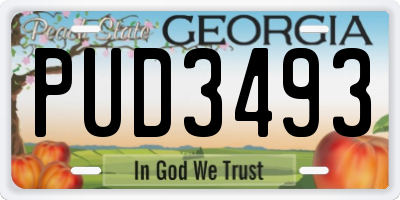 GA license plate PUD3493
