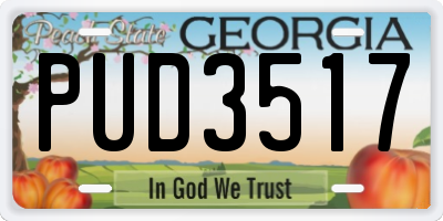 GA license plate PUD3517
