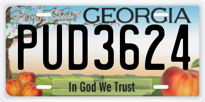 GA license plate PUD3624
