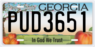 GA license plate PUD3651