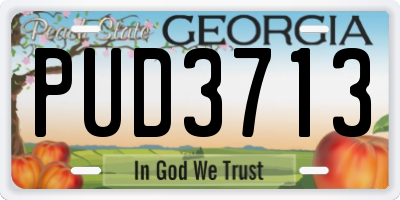 GA license plate PUD3713
