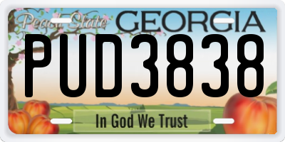 GA license plate PUD3838