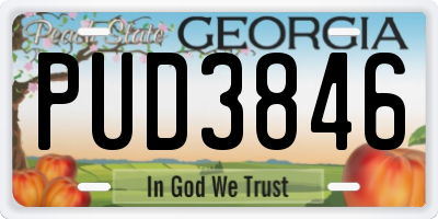 GA license plate PUD3846