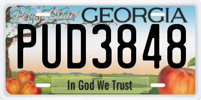 GA license plate PUD3848