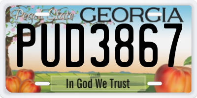 GA license plate PUD3867
