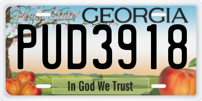 GA license plate PUD3918