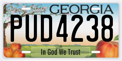 GA license plate PUD4238