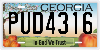 GA license plate PUD4316
