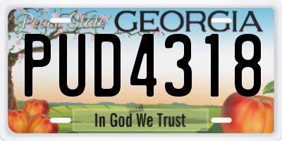 GA license plate PUD4318