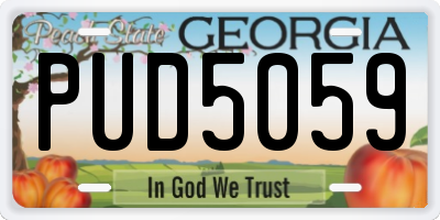 GA license plate PUD5059