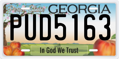GA license plate PUD5163
