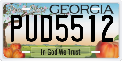 GA license plate PUD5512