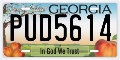 GA license plate PUD5614