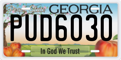 GA license plate PUD6030