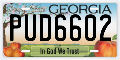 GA license plate PUD6602