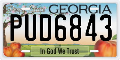 GA license plate PUD6843