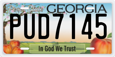 GA license plate PUD7145