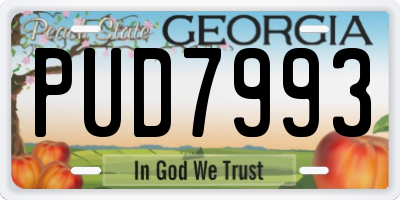 GA license plate PUD7993