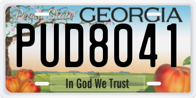 GA license plate PUD8041