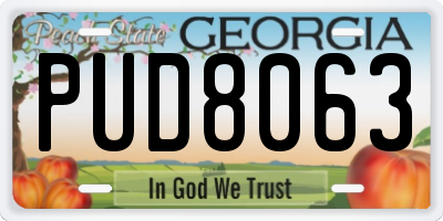 GA license plate PUD8063