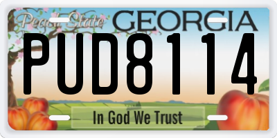 GA license plate PUD8114