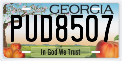 GA license plate PUD8507
