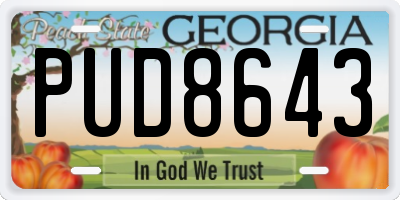 GA license plate PUD8643