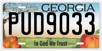 GA license plate PUD9033